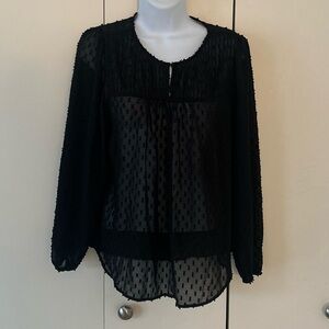 Banana Republic Sheer Swiss dot  Blouse SP